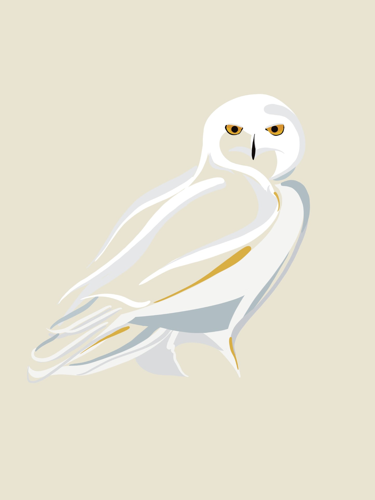 Snowy Owl 11x14 Print