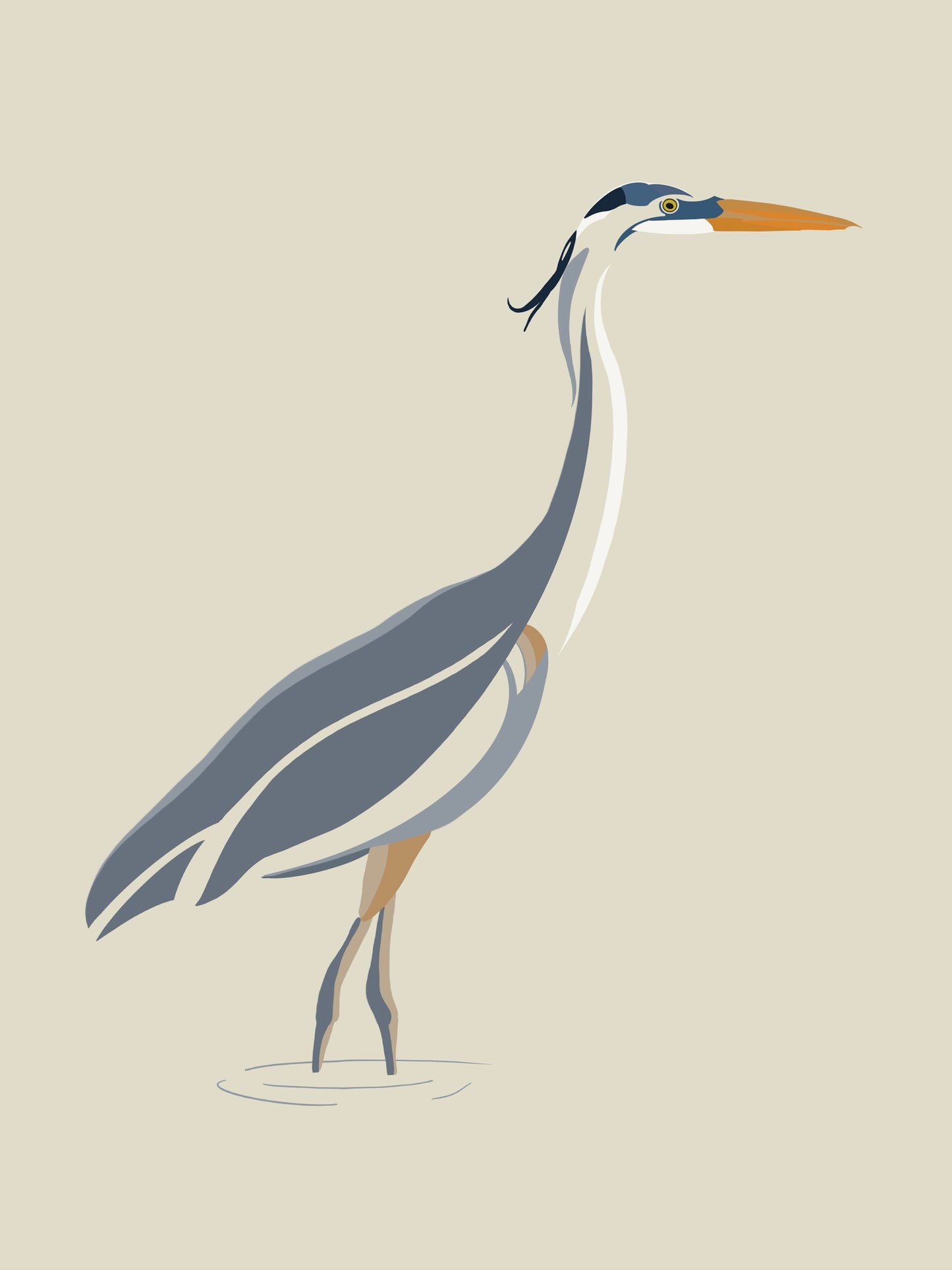 Great Blue Hern 11x14 Print