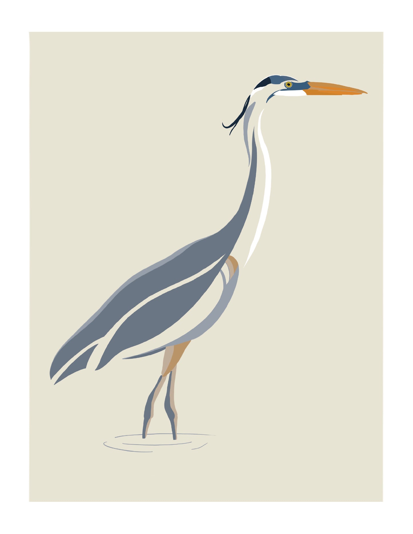 Great Blue Heron 4.25x5.5 folded