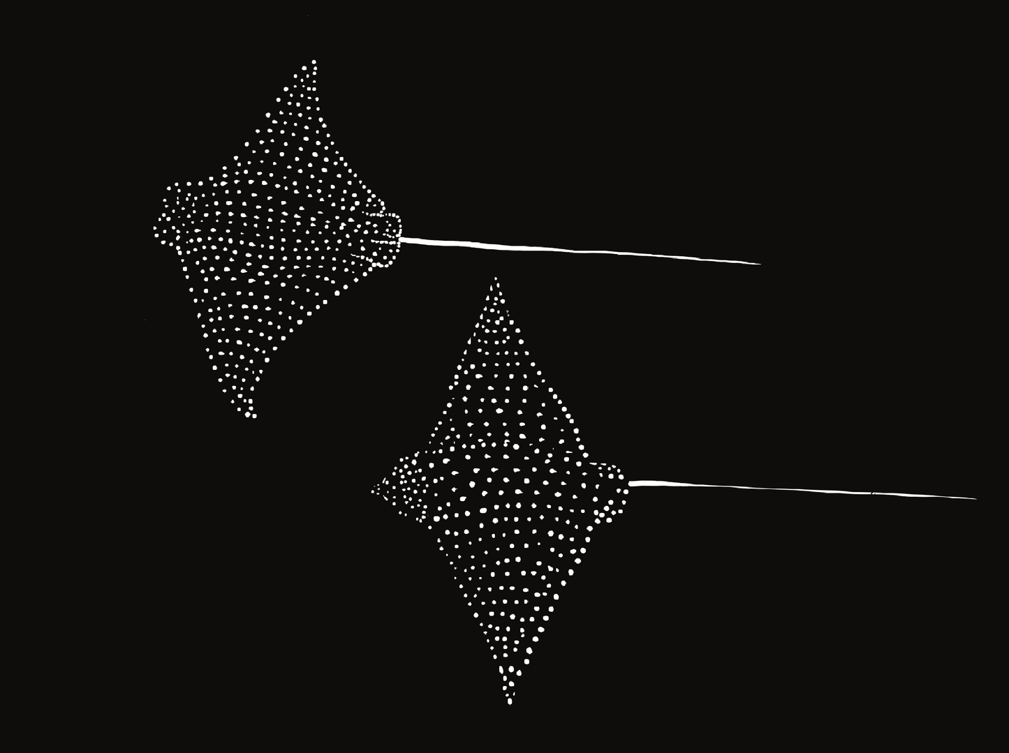 Eagle Rays 11x14 Print