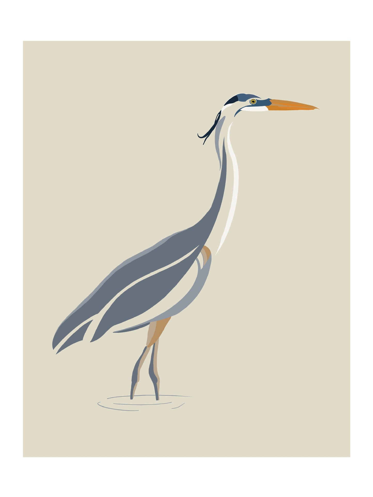Great Blue Heron 8x10 print.