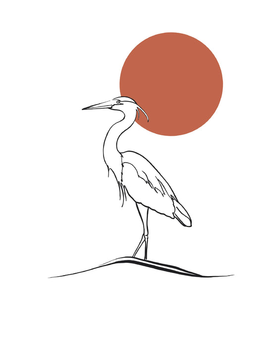 Great Blue Heron under the sun 5x7 Card and envelope