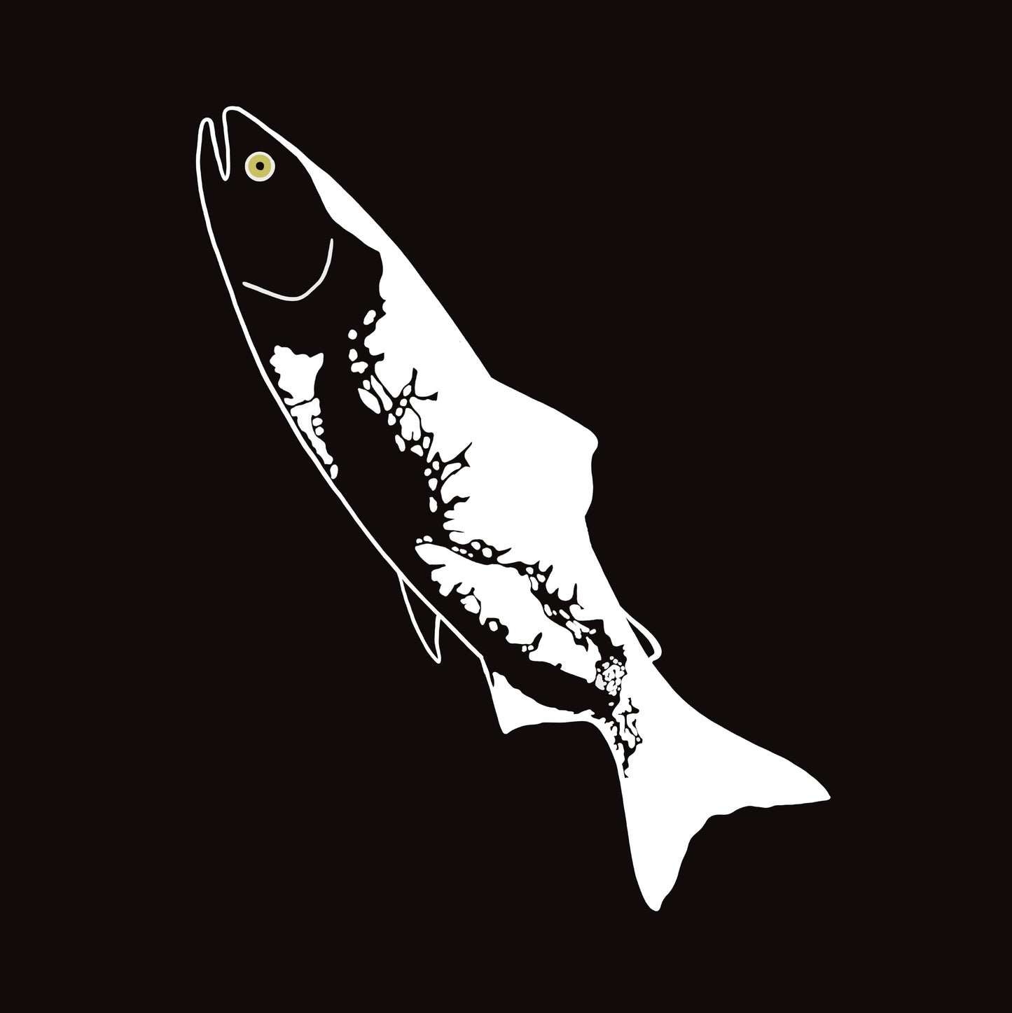 4”x 9” Large format kiss cut sticker of the Pacific Salmon and the BC coastline.