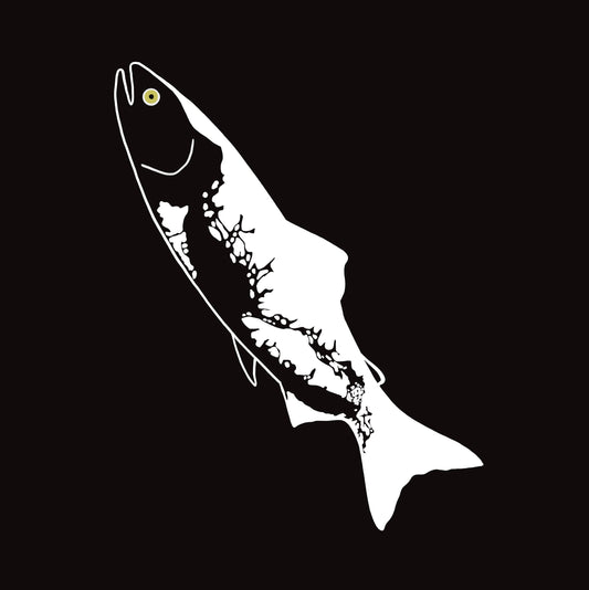 4”x 9” Large format kiss cut sticker of the Pacific Salmon and the BC coastline.