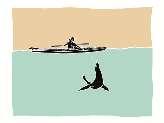 Kayaker and Sealion 8x10 Print