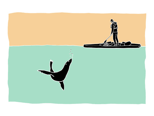 Paddleboard and Sealion Card